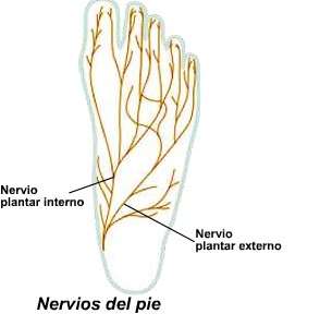 nervio-plantar
